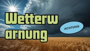 Mehr über den Artikel erfahren Warnlage Wochenende: Erst Hochsommer, dann ziehen Gewitter auf