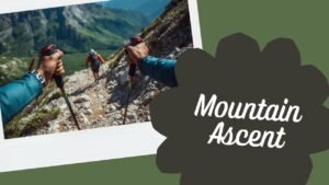 Mehr über den Artikel erfahren Trekkingstöcke: Sinnvolle Entlastung oder überflüssiges Zubehör?