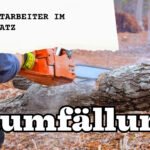 Kettensägen-PSA: Diese Schutzausrüstung brauchst du für den Herbstschnitt