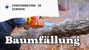 Mehr über den Artikel erfahren Kettensägen-PSA: Diese Schutzausrüstung brauchst du für den Herbstschnitt