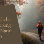 Wandern im Herbst: Ausrüstung und Taktik für Nebel, Nässe und kurze Tage